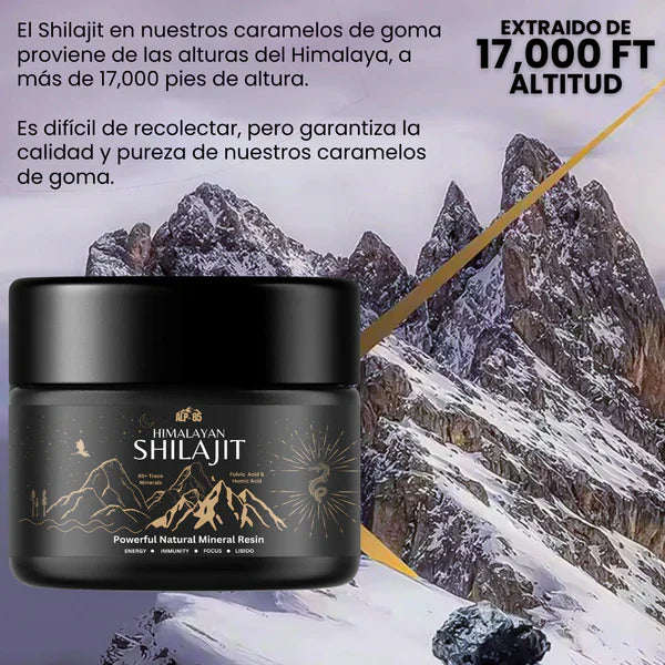 SHILAJIT DEL HIMALAYA: TOMA EL CONTROL DE UNA VIDA SANA Y EQUILIBRADA.